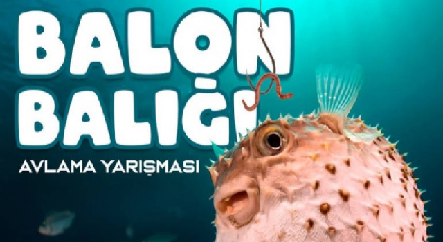 Balon Balığı Avlama Yarışması