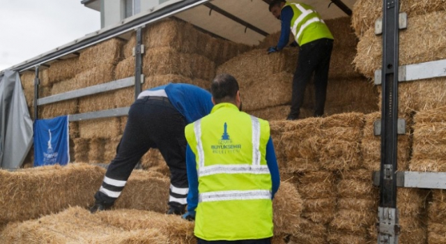 Yangın mağduru çiftçilere 225 ton yem desteği