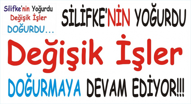 YİNE PAZARLIKLI ALIM, YİNE SİLİFKE VE YİNE EFELEASE…