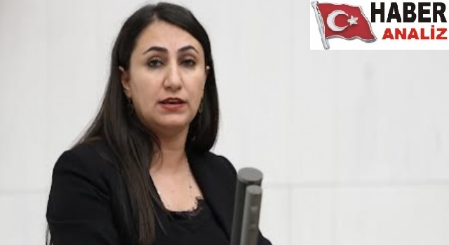 DEM PARTİLİ ODUNCU, ‘SANSÜR YASASI’NIN KALDIRILMASINI TEKLİF ETTİ