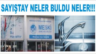 BAKIN SAYIŞTAY 2020 YILINDA MESKİ”DE NELER BULDU