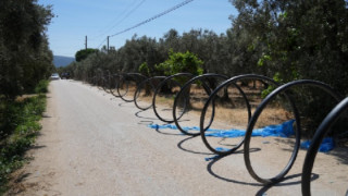 Balıkesir’de, 80 bin zeytin ağacı suyla buluştu