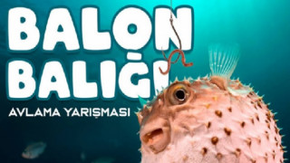 Balon Balığı Avlama Yarışması