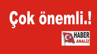 TOPUK DİKENİ...