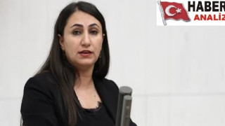 DEM PARTİLİ ODUNCU, ‘SANSÜR YASASI’NIN KALDIRILMASINI TEKLİF ETTİ