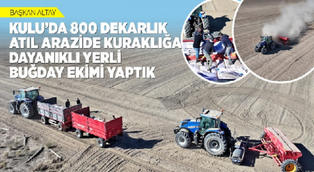 800 DEKARLIK ATIL ARAZİDE KURAKLIĞA DAYANIKLI YERLİ BUĞDAY EKİMİ