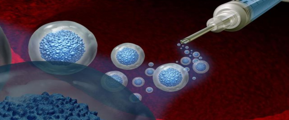 Bilimsel araştırma: Yaşlanan hücreler yeniden gençleştirilebilir