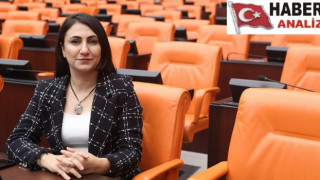 ONLARCA KÖYDE SU KAYNAKLARI VE HALK SAĞLIĞI TEHDİT ALTINDA