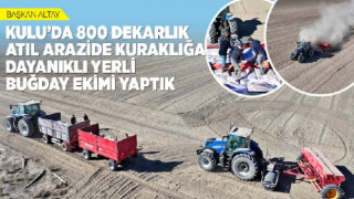 800 DEKARLIK ATIL ARAZİDE KURAKLIĞA DAYANIKLI YERLİ BUĞDAY EKİMİ