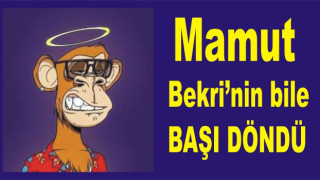 YENİŞEHİR’DE MİLYONLUK BİR PAZARLIKLI ALIM DAHA