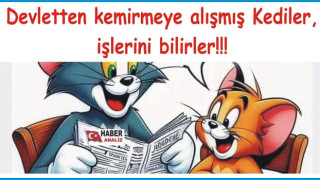 SAYIŞTAY SİZİ UYARMAKTAN BIKTI, SİZ KAMU MALINA “SAHİP ÇIKMAMAKTAN” BIKMADINIZ!!!