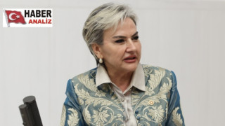 Özdemir’in Kadın Yoksulluğu Araştırma Önergesi Reddedildi