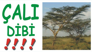 MBB NİN ŞİRKETİ 11 MİLYONLUK BİRA ALMIŞ