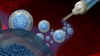 Bilimsel araştırma: Yaşlanan hücreler yeniden gençleştirilebilir